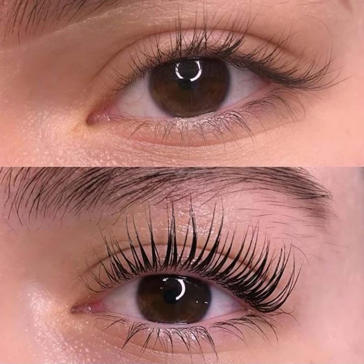 Elunea™ Magnetic Eyelash Kit